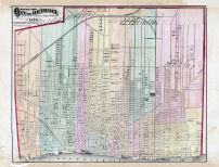 Detroit City, Wayne County 1876 with Detroit